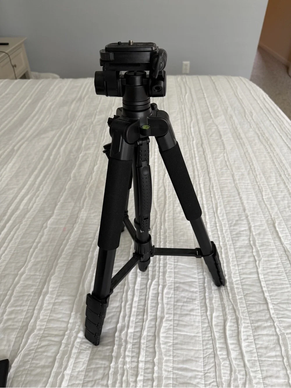 Content creator tripod bundle with vlog screen